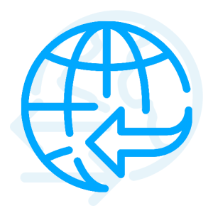 import icon